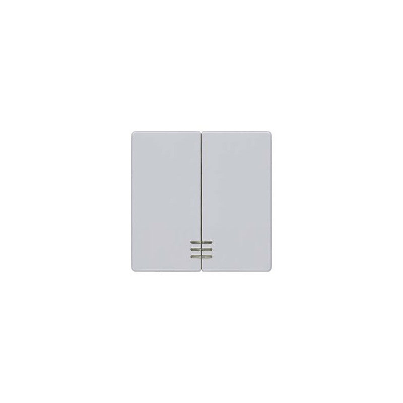Tecla doble interruptor visor Siemens Delta Line y Miro