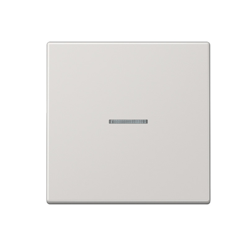 Tecla interruptor con visor Jung LS 990