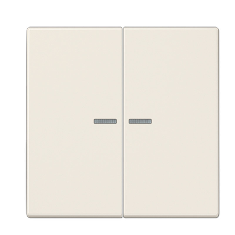 Tecla doble interruptor o conmutador con visor Jung LS 990