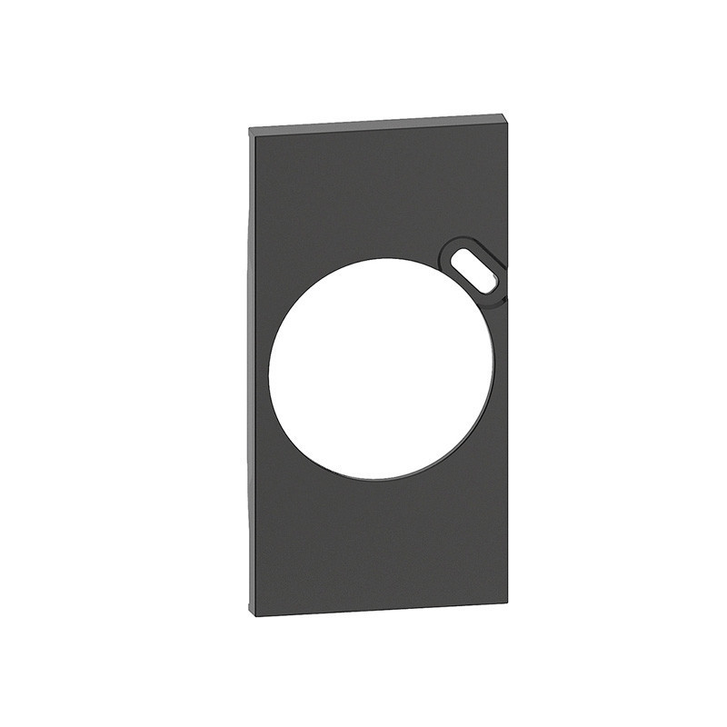 Tecla enchufe schuko con cargador USB Bticino Living Now