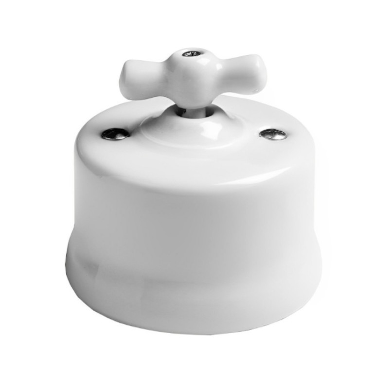 Kit de Interruptor  de superficie 1P 10AX 250V + manecilla de Fontini Garby