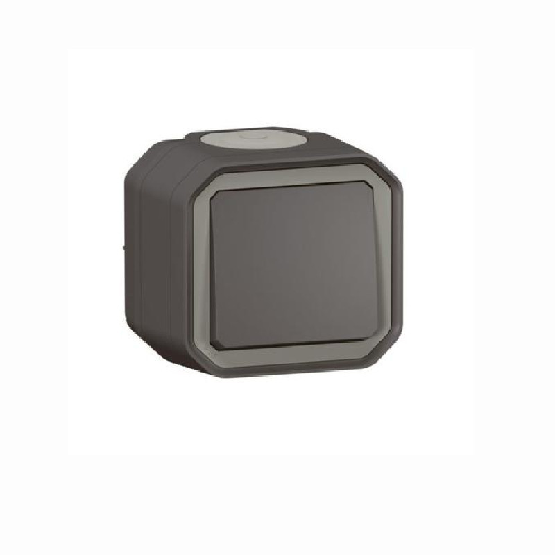 Interruptor estanco monobloc de superficie Legrand Plexo