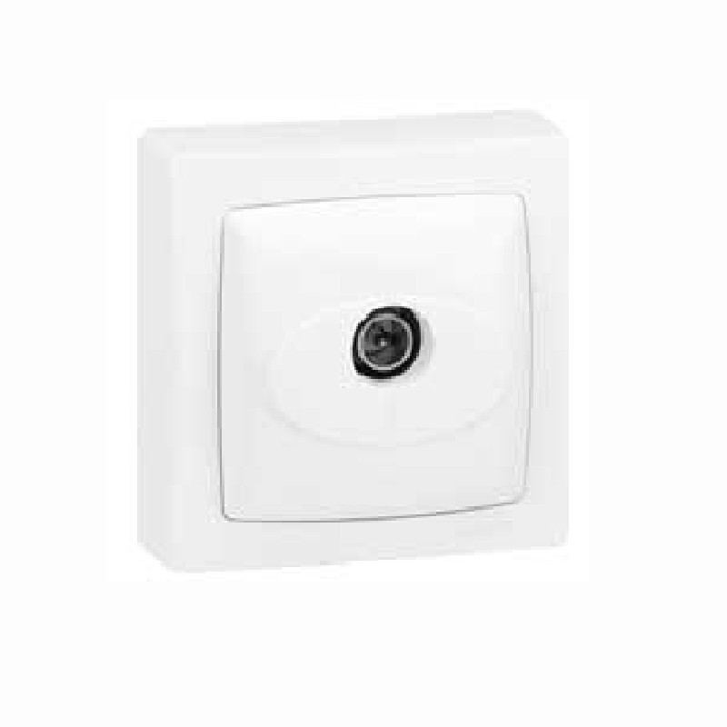 Toma de televisión de superficie blanco Legrand Oteo 086040